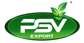 PSV Export Logo