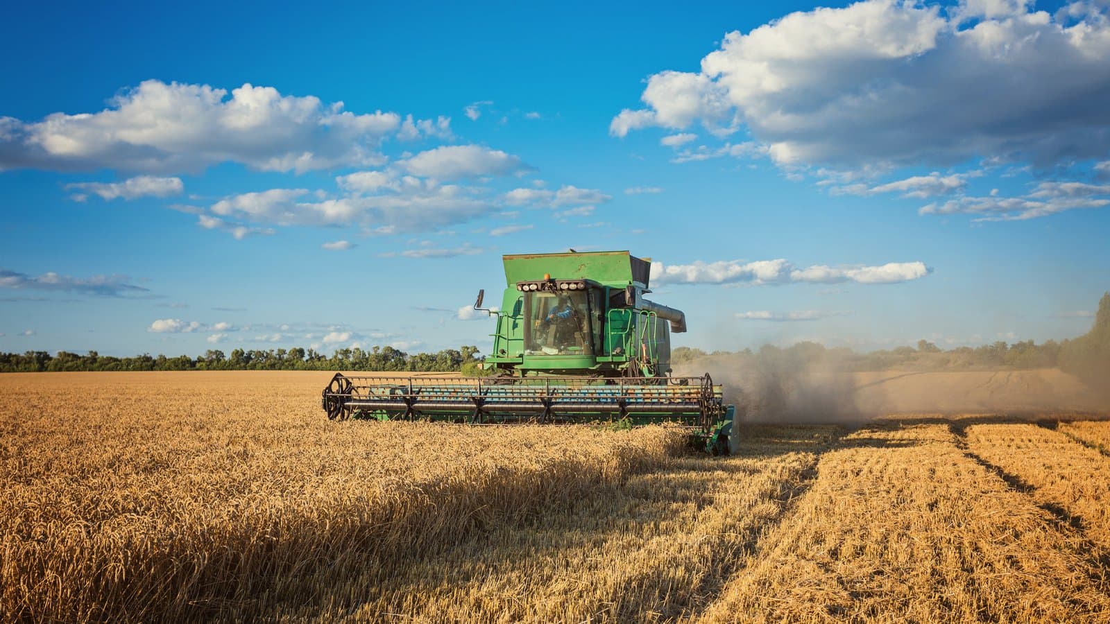 Agricultural Commodities